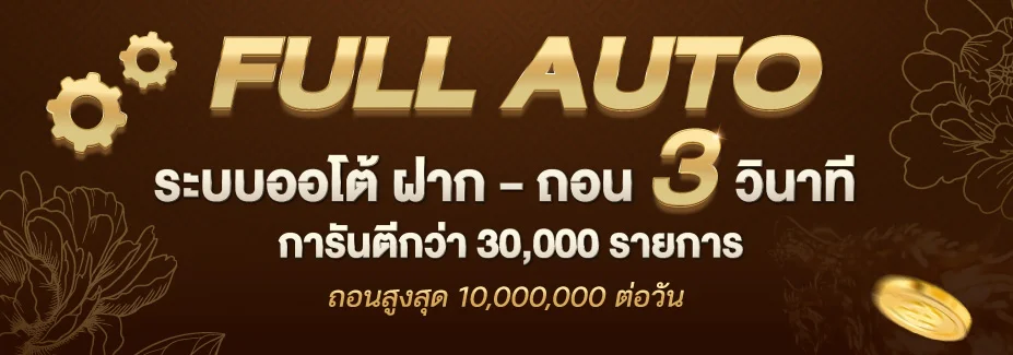 ระบบออโต้